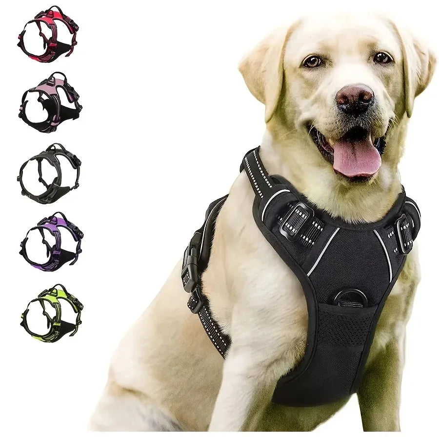 BarkBuddy™ Dog Gear Set