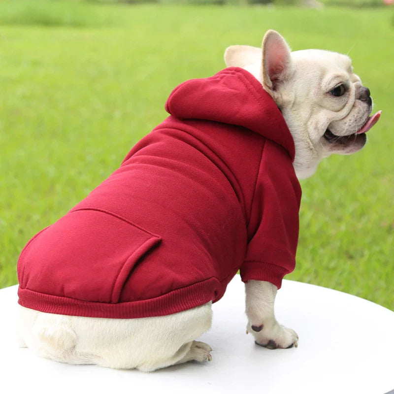 WarmPaws™ Autumn Dog Hoodie