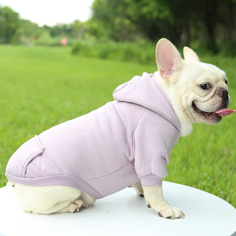 WarmPaws™ Autumn Dog Hoodie