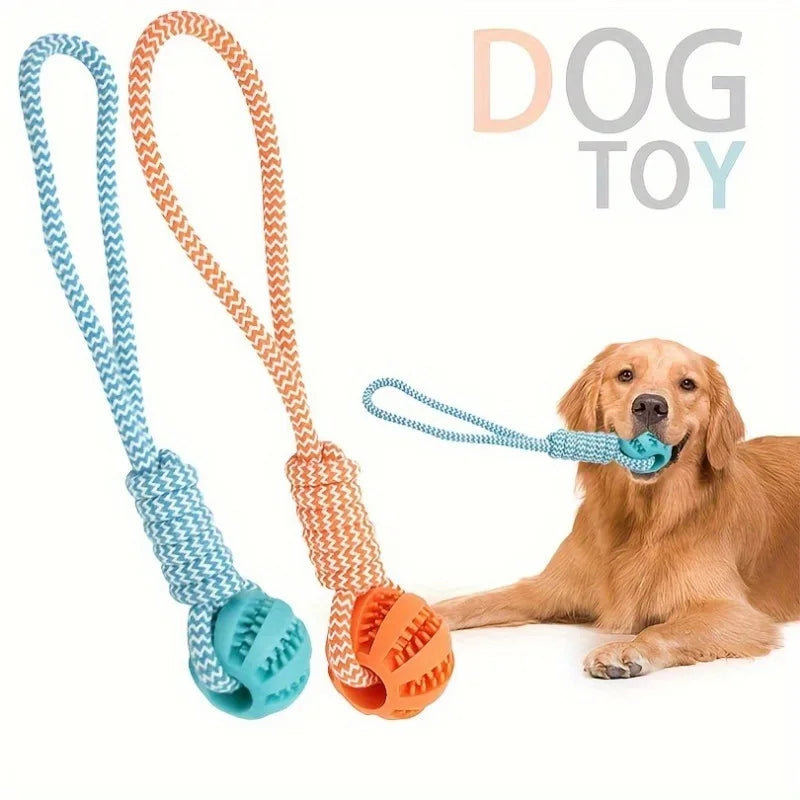 K9Fun™ Treat & Chew Ball