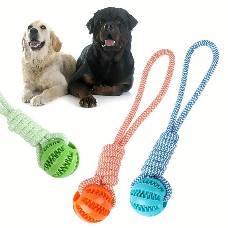 K9Fun™ Treat & Chew Ball