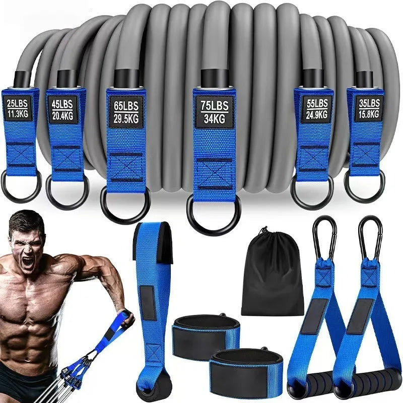 EliteGrip™ Resistance Bands – Home Gym Training Kit