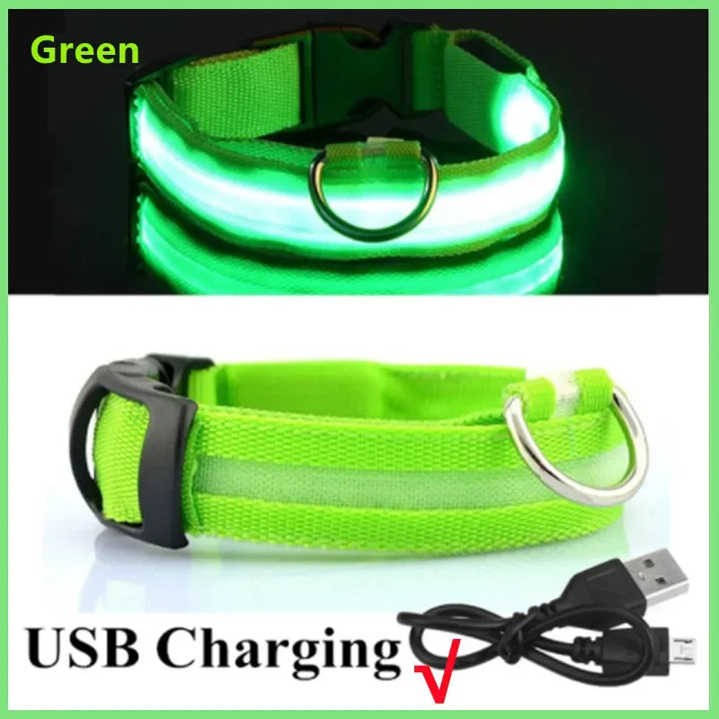 PetShine™ USB LED Glow Collar