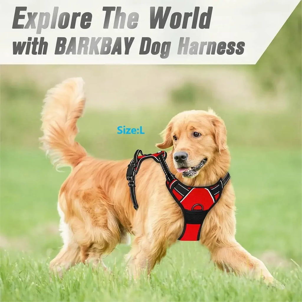 BarkBuddy™ Dog Gear Set