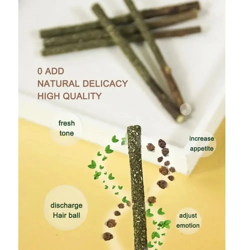 PawJoy™ Silvervine Cat Sticks – Teeth Cleaning & Fun Toy