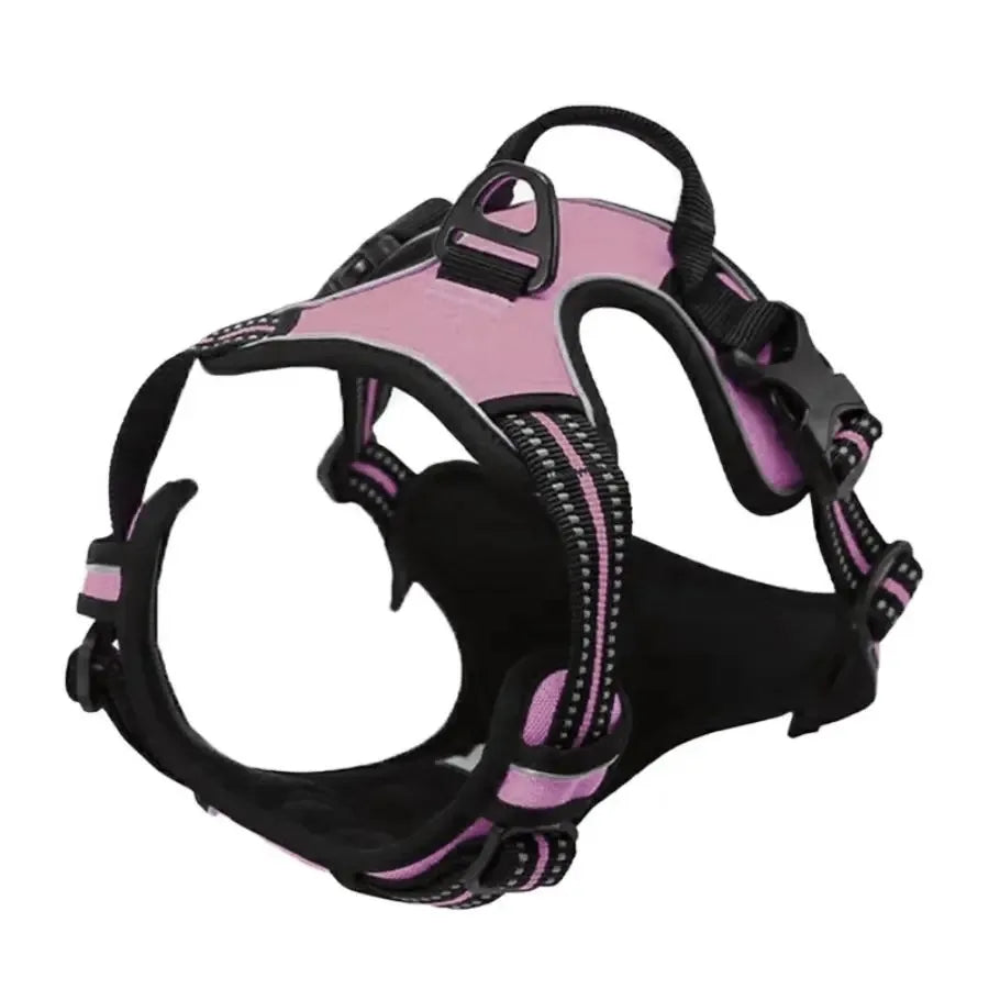 BarkBuddy™ Dog Gear Set