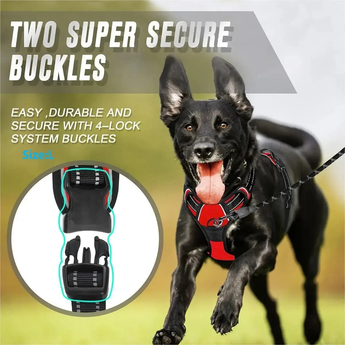 BarkBuddy™ Dog Gear Set