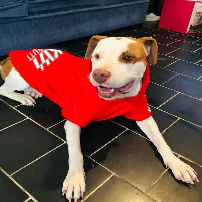 CozyPup™ Velvet Dog Clothes