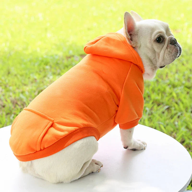 WarmPaws™ Autumn Dog Hoodie