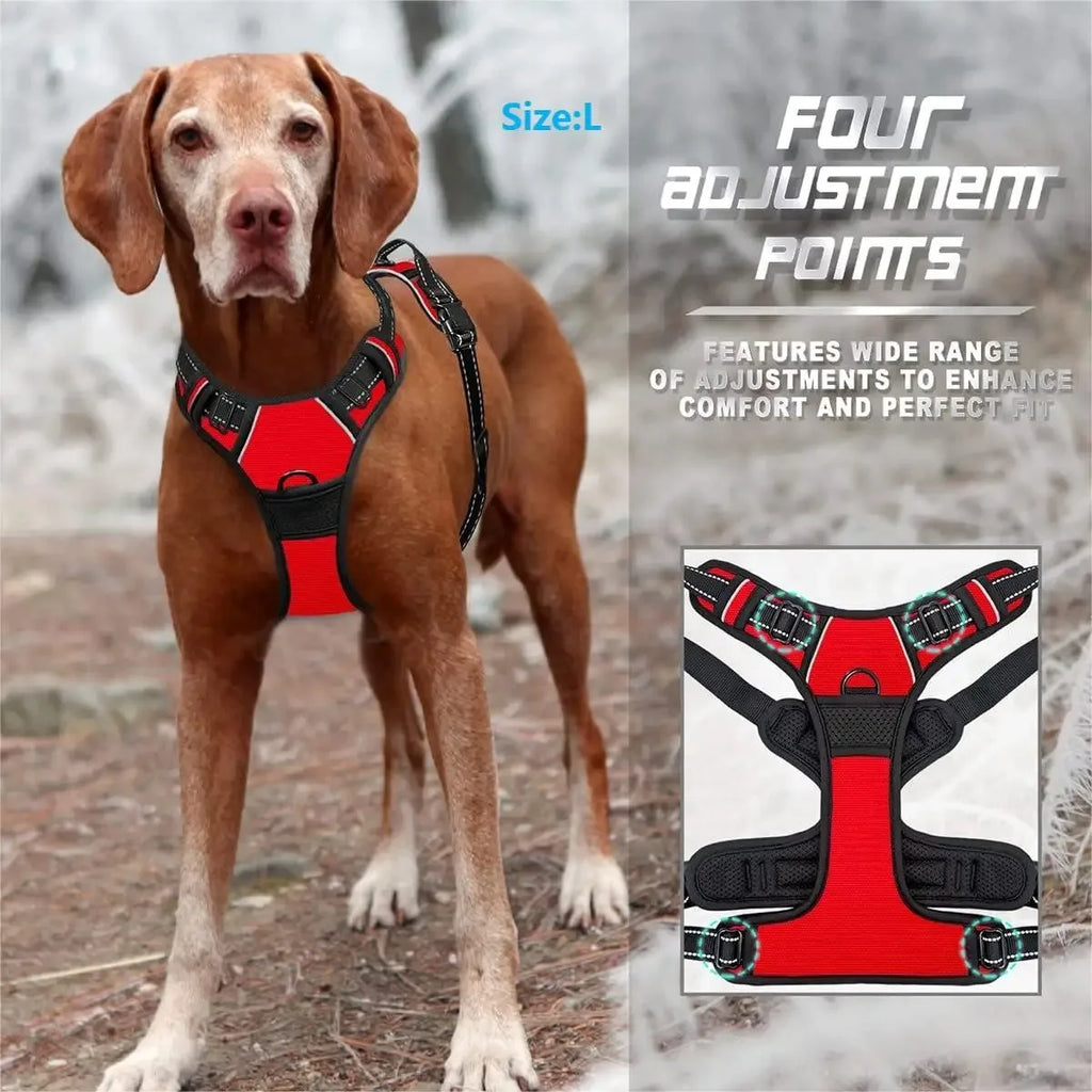BarkBuddy™ Dog Gear Set