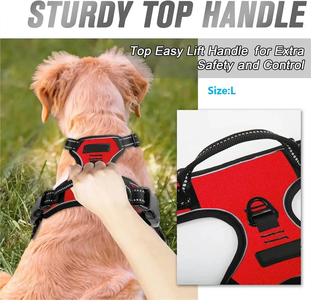 BarkBuddy™ Dog Gear Set
