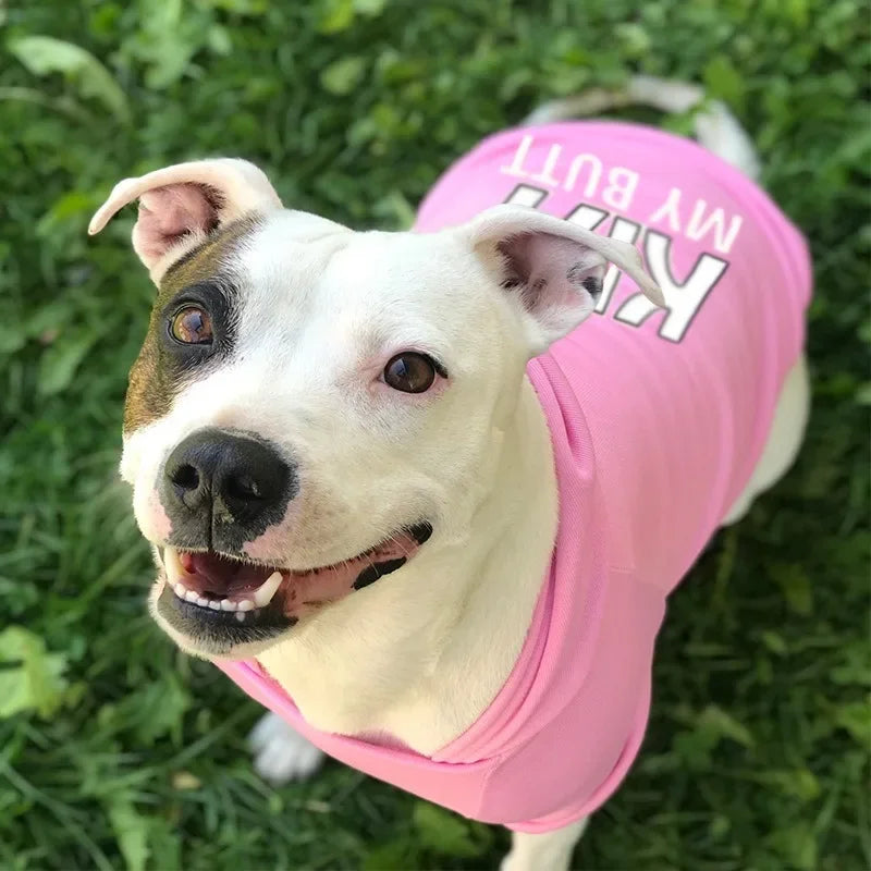 CozyPup™ Velvet Dog Clothes