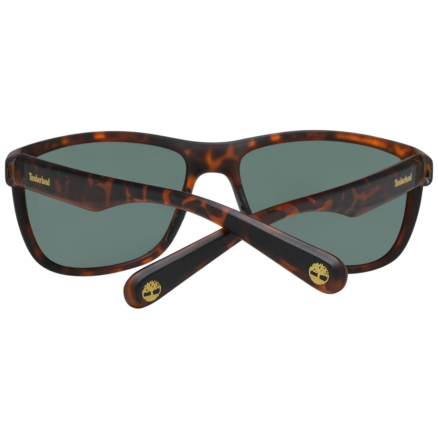 Timberland TB7179 6156N – Men's acetate sunglasses