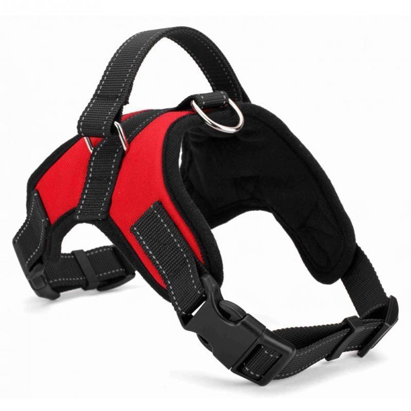 Adjustable dog harness with optional accessories